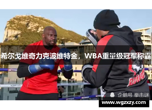 希尔戈维奇力克波维特金,WBA重量级冠军称霸 希尔戈维奇力克波维特金,WBA重量级冠军称霸