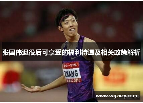 张国伟退役后可享受的福利待遇及相关政策解析