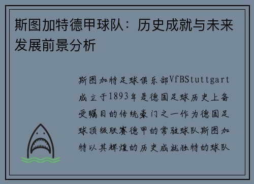 斯图加特德甲球队:历史成就与未来发展前景分析 斯图加特德甲球队:历史成就与未来发展前景分析